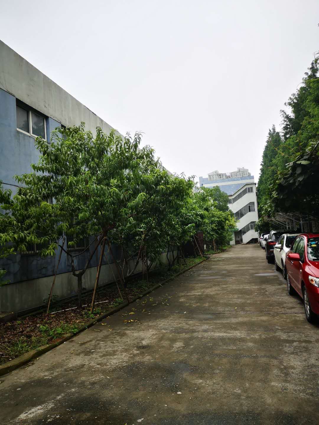 公司風采